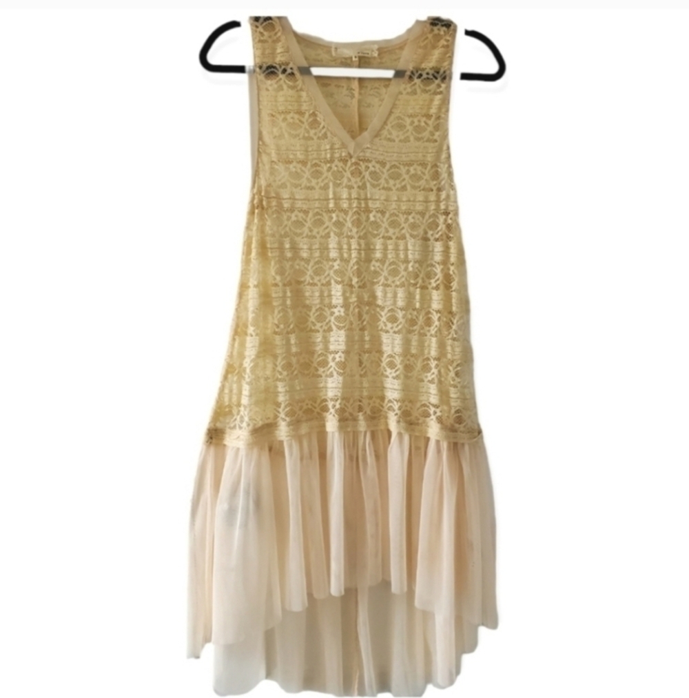 Mearmaid slip dress style Romantic Lace Embroidery Tulle dress